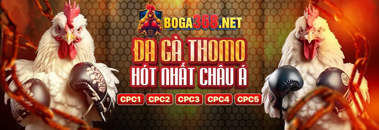 Hình ảnh chính ứng dụng SP8BET với các tính năng cốt lõi và trải nghiệm cá cược di động